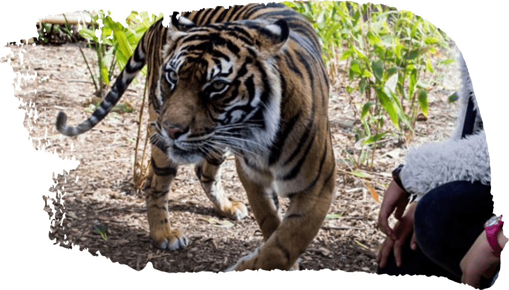 Taronga Zoo